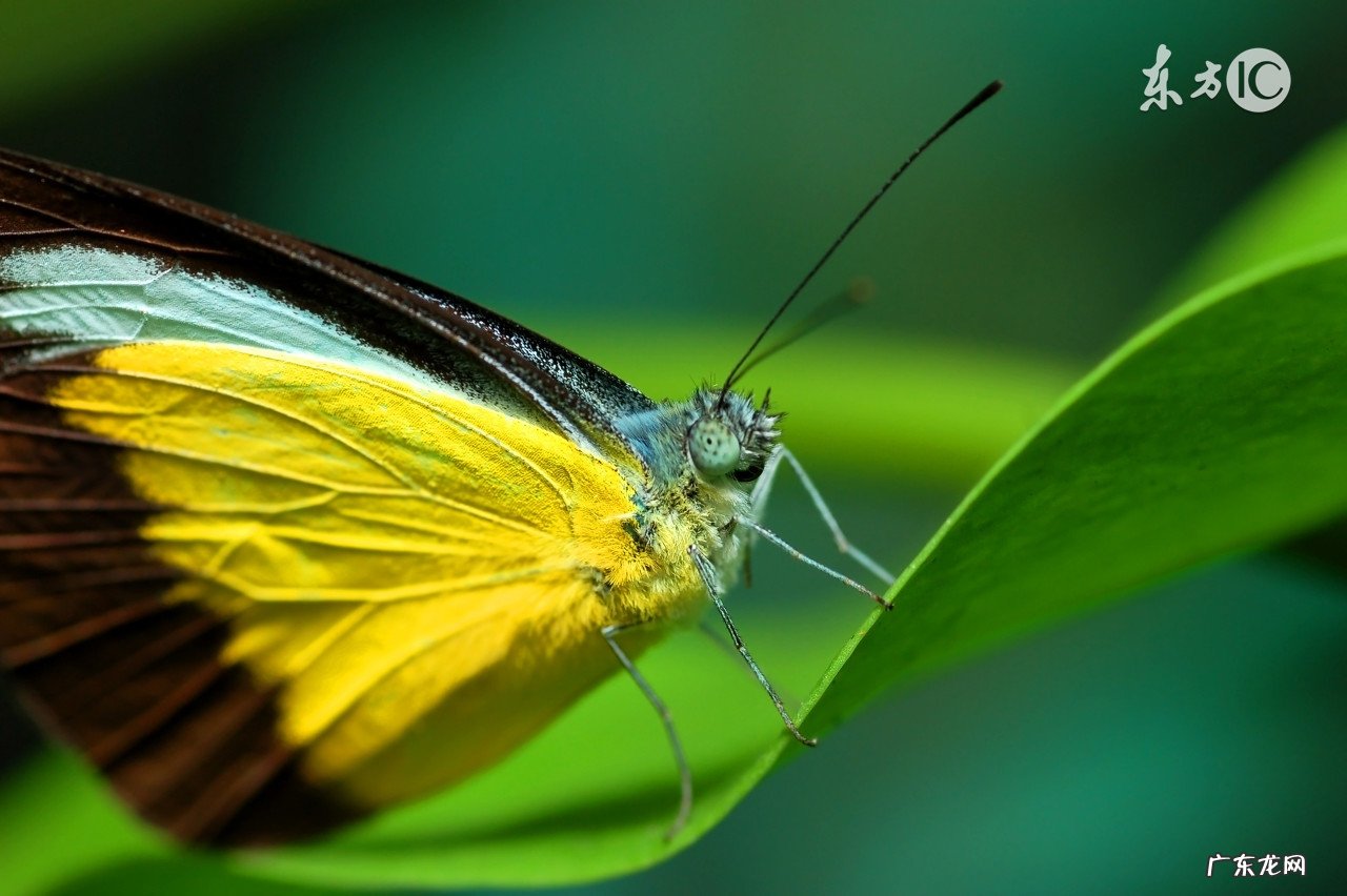 生命是美好的、灿烂的！热爱生命的名人格言26条 关于热爱生命的名言名句