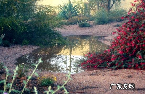 发大洪水,最后洪水都流哪去了?