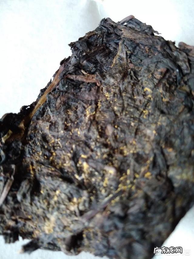 泡茶时是先倒水再放茶叶还是先放茶叶再倒水?