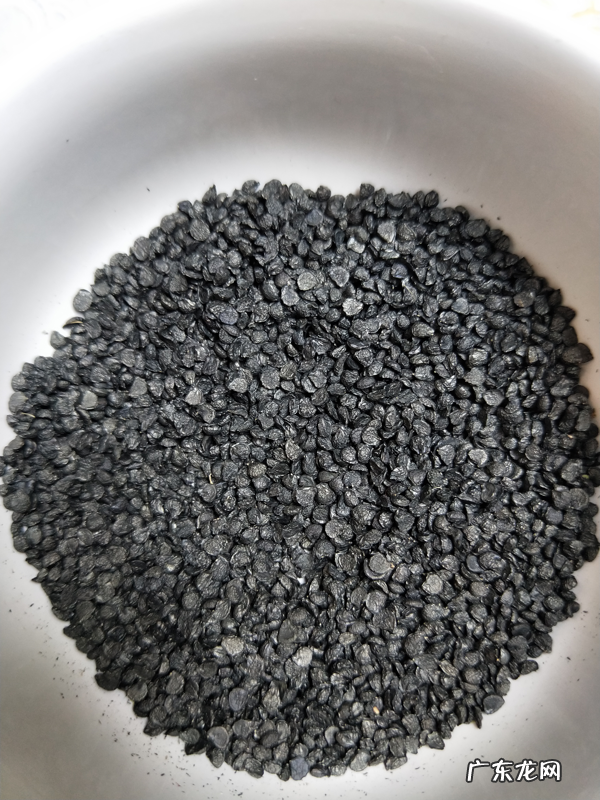 韭菜韭菜子的药用价值 韭菜子的功效与作用的功效和作用是什么