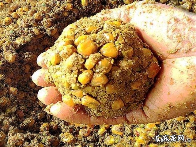 什么鱼饵钓鱼比较好呢?