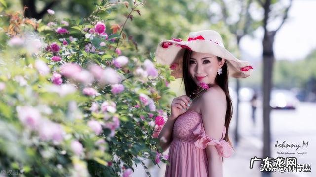 春节有哪些花卉可以摄影?