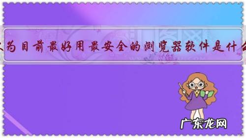 你认为目前最好用最安全的浏览器软件是什么？