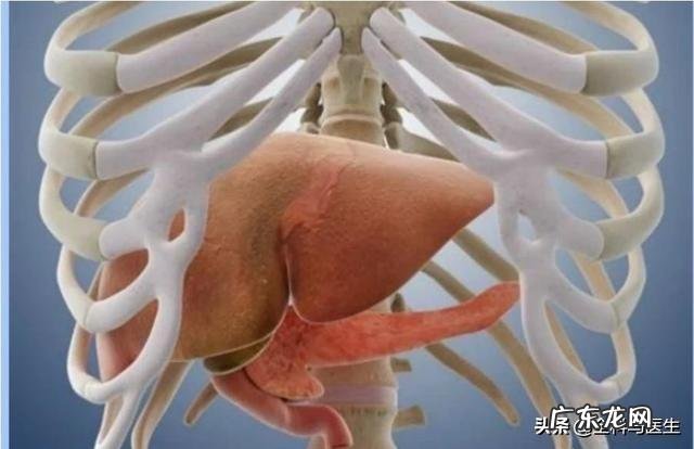 肝病早期有哪些症状?