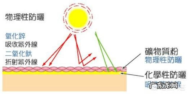 夏天要怎么美白防晒呀?