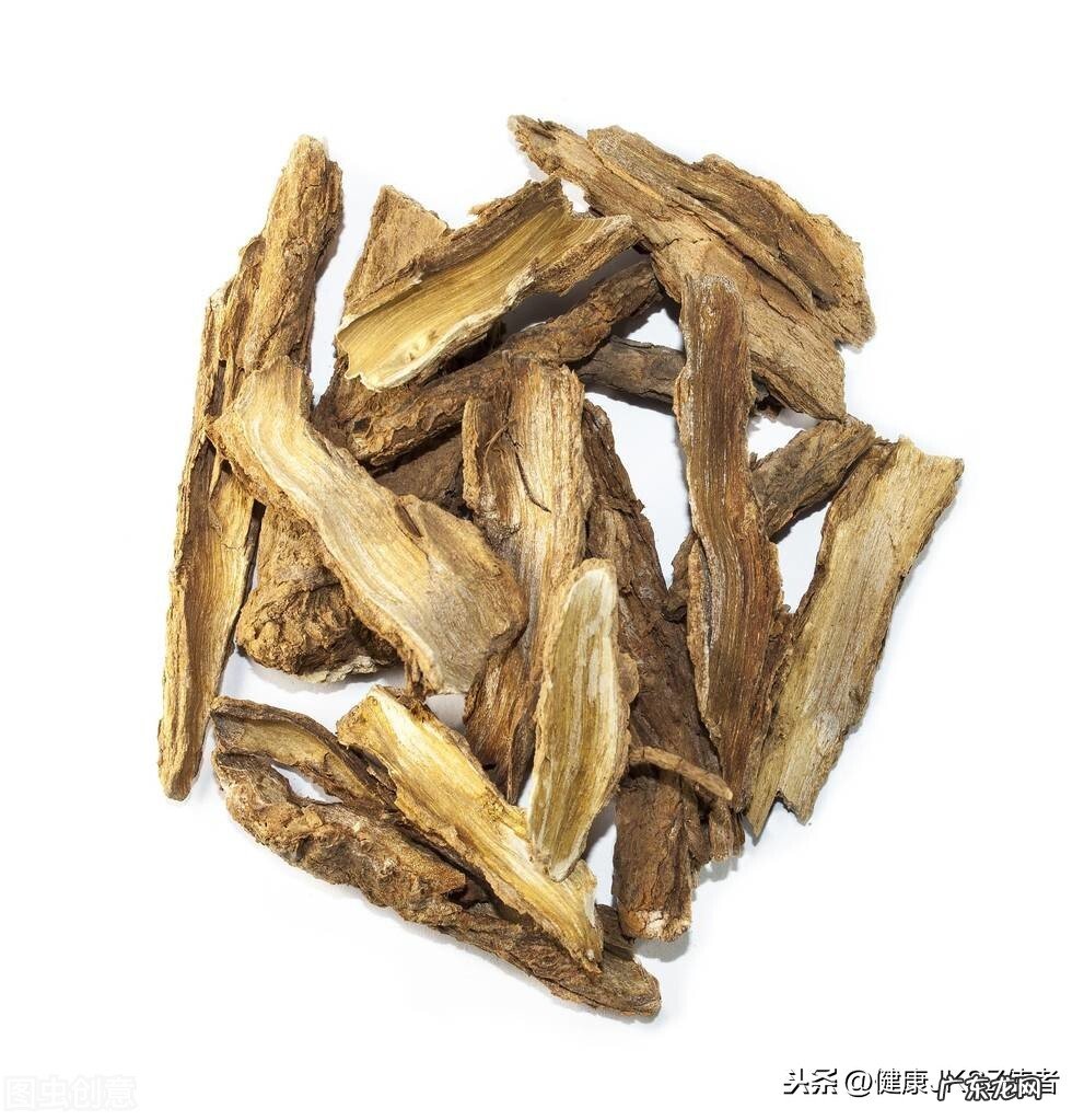 五加皮的功效及其应用 五加皮的功效与作用用量