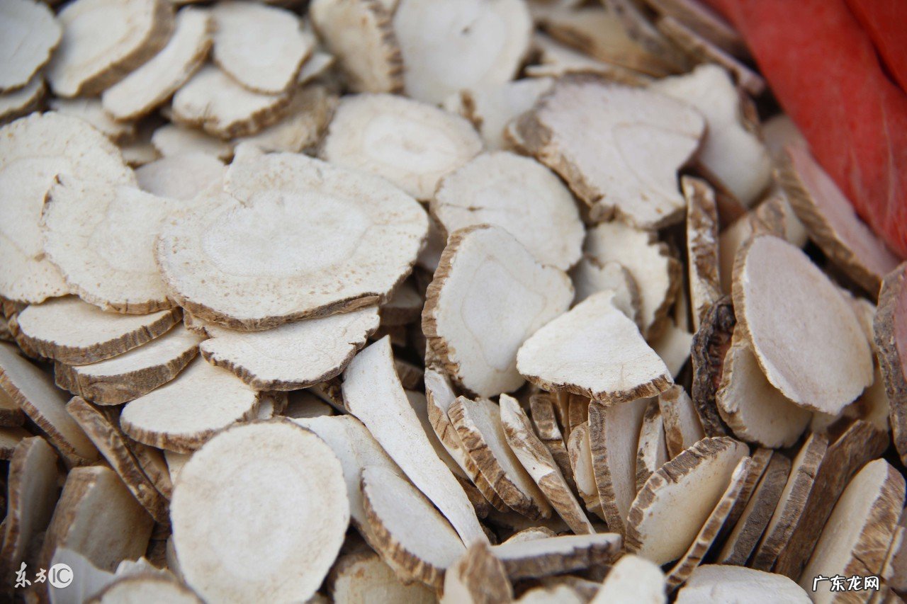 中药白芷的功效与作用用药禁忌与副作用 白芷的副作用有哪些