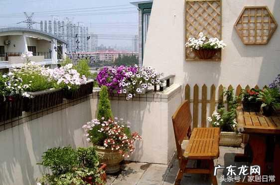 阳台植物不能乱养 家里阳台种藤类花影响风水吗