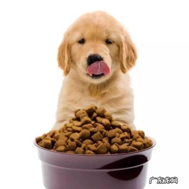 狗粮是什么做的?