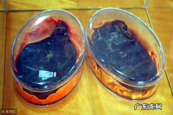 中药熊胆的研究妙用 熊胆的功效与作用禁忌