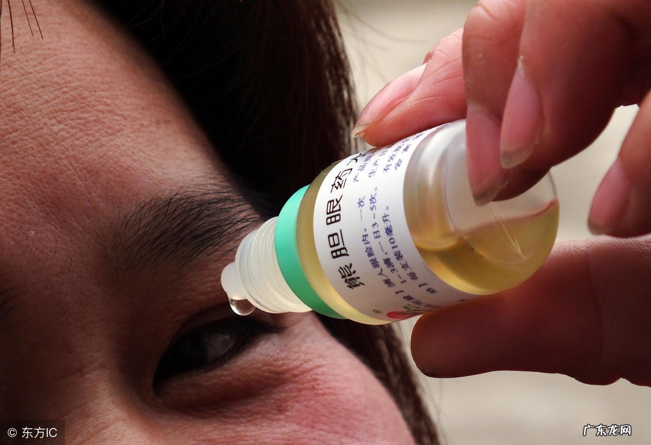 中药熊胆的研究妙用 熊胆的功效与作用禁忌