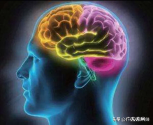 科普脑膜炎 脑膜炎