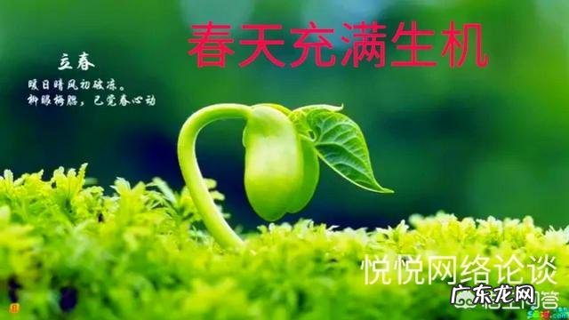 有关于“春天”的四字词语都有什么？