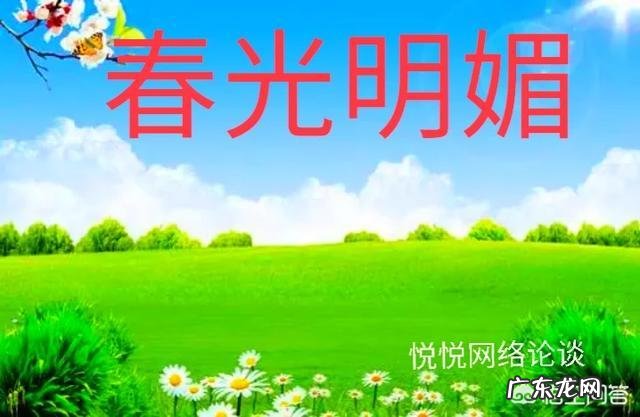 有关于“春天”的四字词语都有什么？