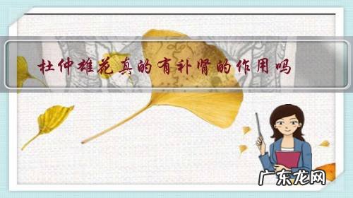 杜仲雄花的十大功效 杜仲雄花真的有补肾的作用吗?