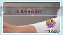 怀孕母猪体温39.5度不吃食没精神怎么办？