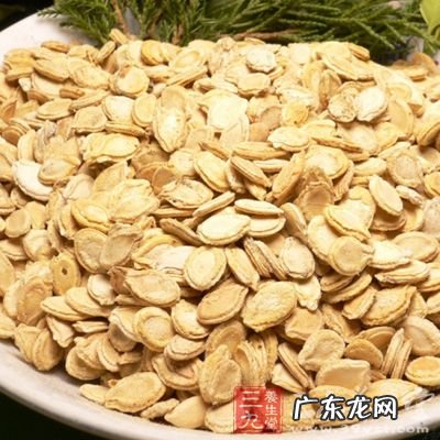 冬瓜子功效与作用 冬瓜子的作用是什么