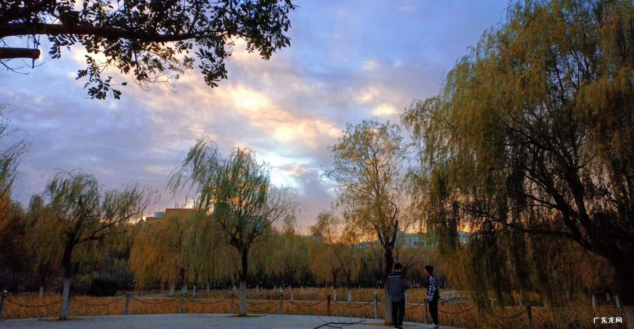 我在这个词真的太浪漫了 什么意思中文