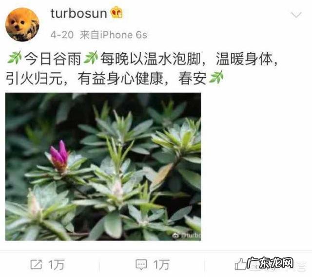 孙俪的减肥秘诀是什么?