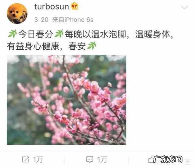 孙俪的减肥秘诀是什么？