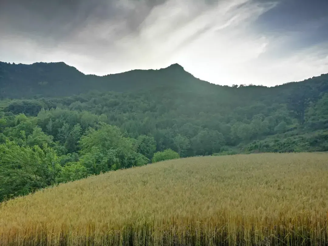南阳风水宝地 安阳山水风水宝地在哪