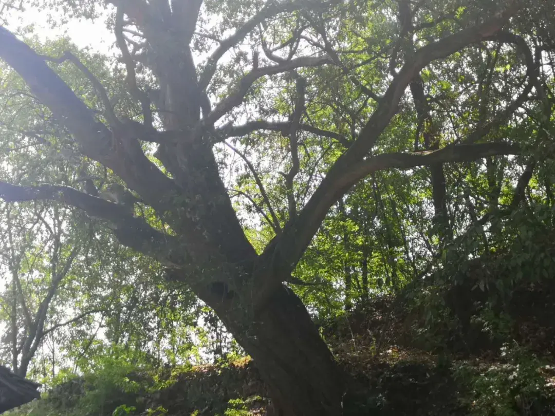 南阳风水宝地 安阳山水风水宝地在哪