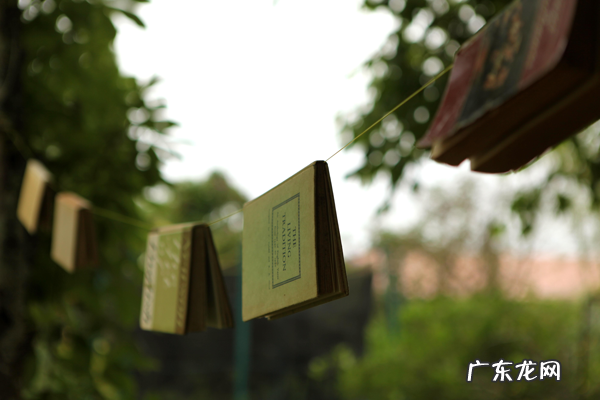 阿甘正传小孩是阿甘的吗 风水界的小阿甘是谁