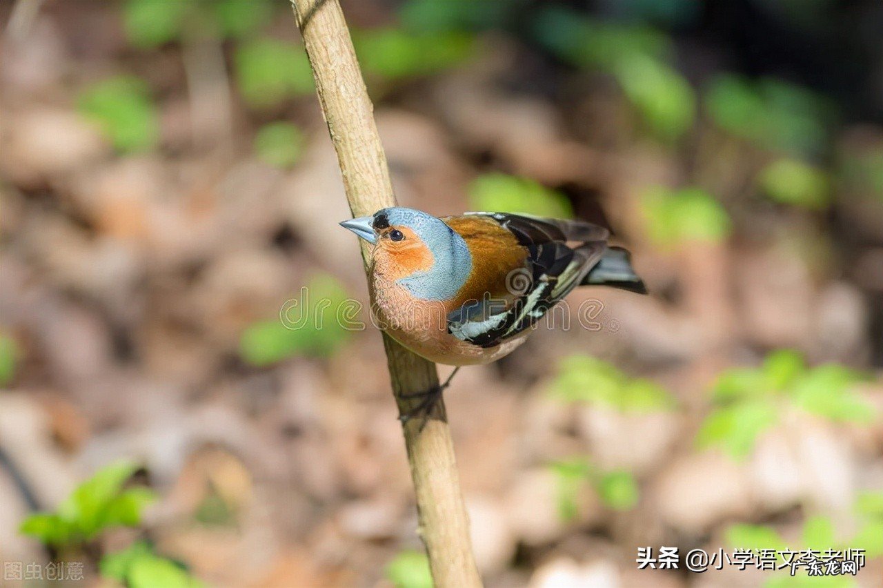 陈述句改为反问句专项练习，附带参考答案，让孩子训练吧 反问句大全短句