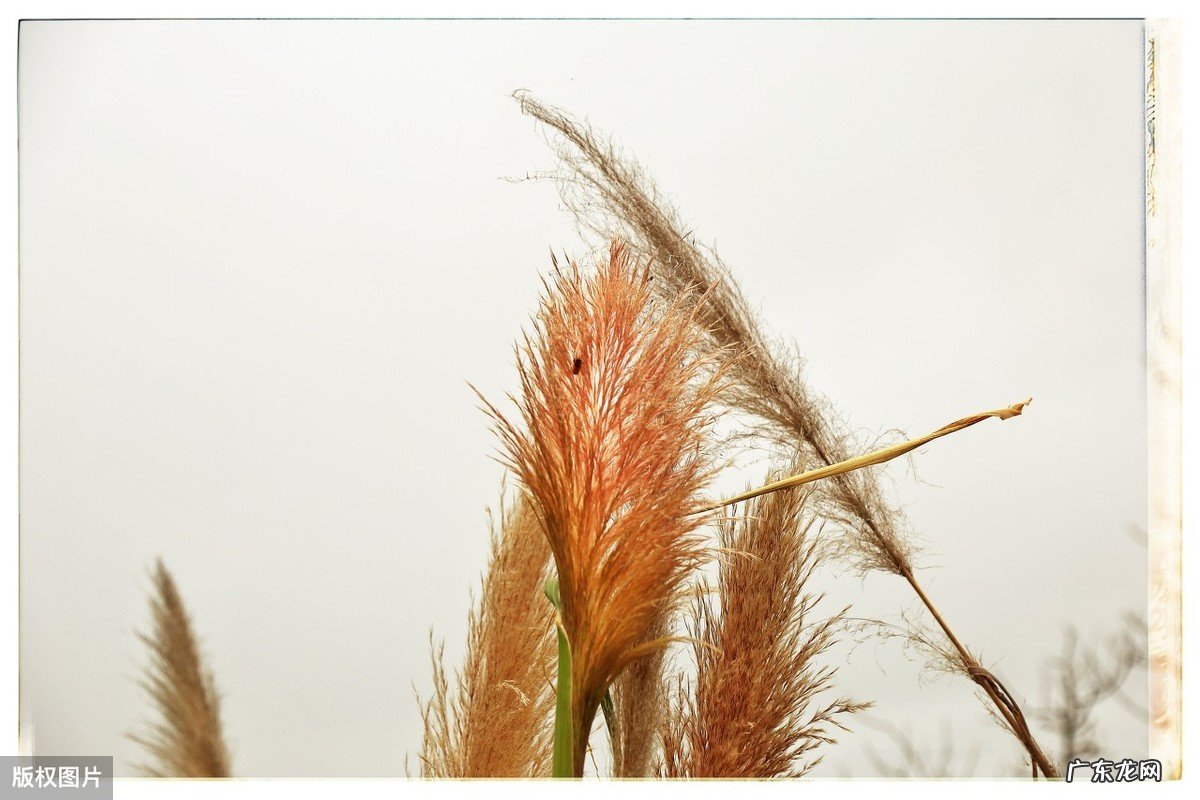 最经典的柏拉图名言名句 柏拉图名言名句大全