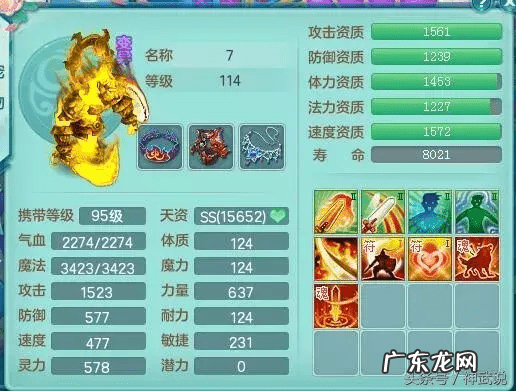 神武吧 神武小武怎么样