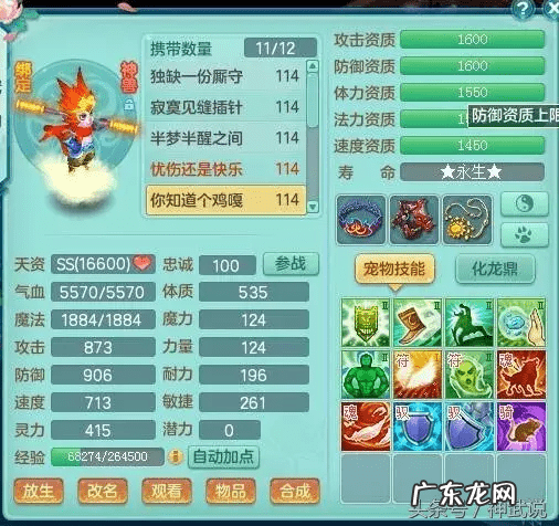 神武吧 神武小武怎么样