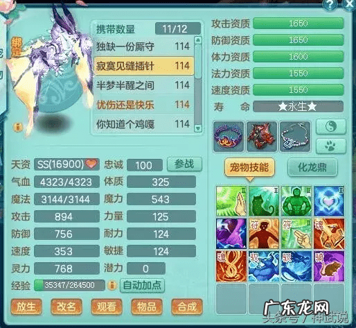 神武吧 神武小武怎么样