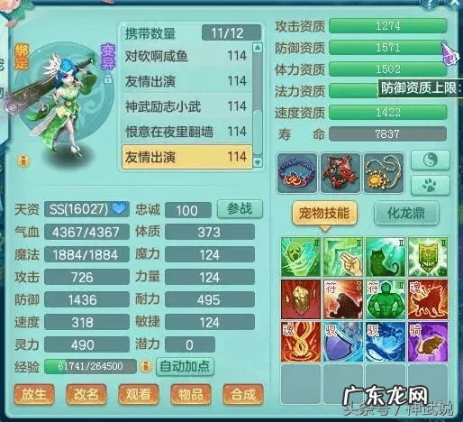 神武吧 神武小武怎么样