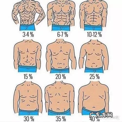 想练腹肌还有跑步,什么时间段适合练腹肌,什么时间段适合跑步?怎么合理安排自己有效的锻炼?