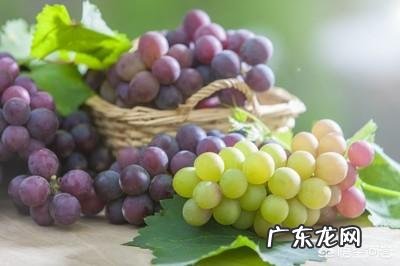 秋季养肝吃什么?