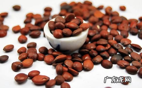 酸枣仁有副作用吗酸枣仁吃多了的危害 酸枣仁的副作用有哪些