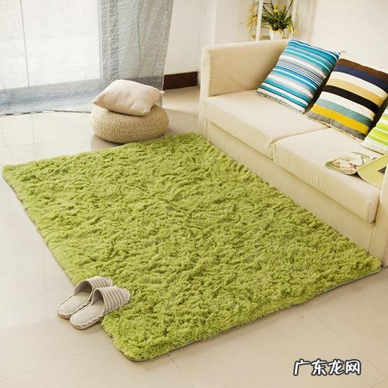 客厅地毯的风水讲究 家里客厅铺地毯风水好吗