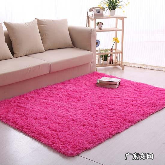 客厅地毯的风水讲究 家里客厅铺地毯风水好吗