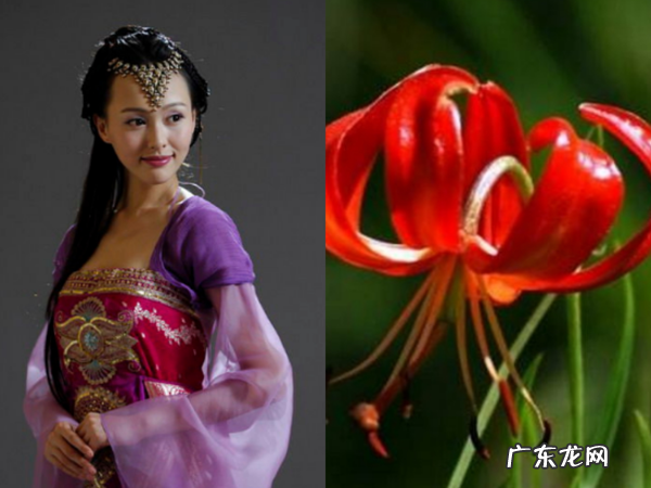 仙剑奇侠传3男女主 仙剑奇侠传3主角名字