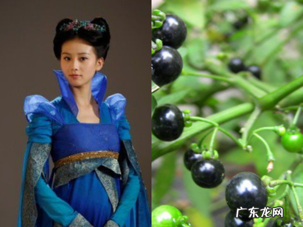 仙剑奇侠传3男女主 仙剑奇侠传3主角名字