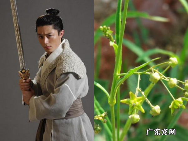 仙剑奇侠传3男女主 仙剑奇侠传3主角名字