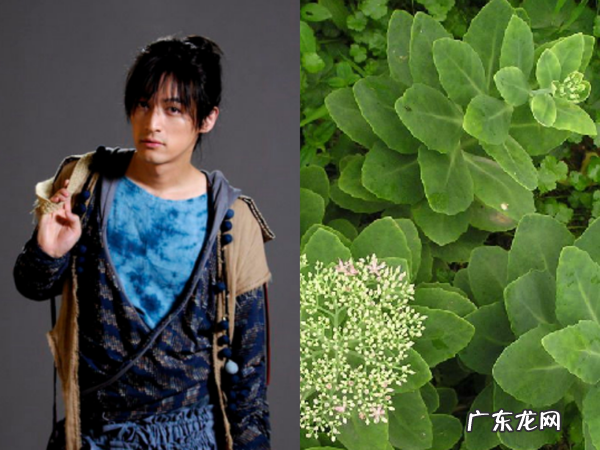 仙剑奇侠传3男女主 仙剑奇侠传3主角名字