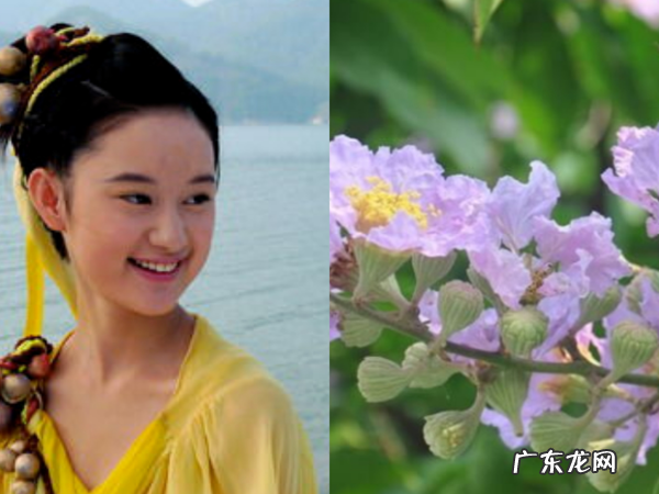 仙剑奇侠传3男女主 仙剑奇侠传3主角名字