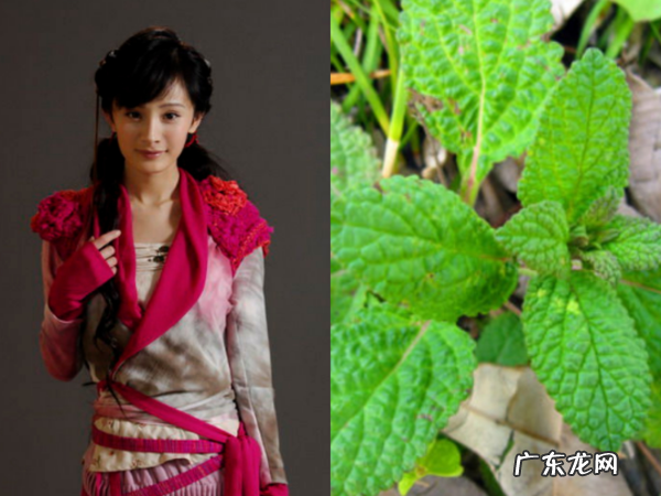 仙剑奇侠传3男女主 仙剑奇侠传3主角名字