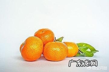 秋天吃橘子有什么好处?