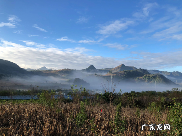 蒸包子的寓意和象征 蒸包子在风水上是什么