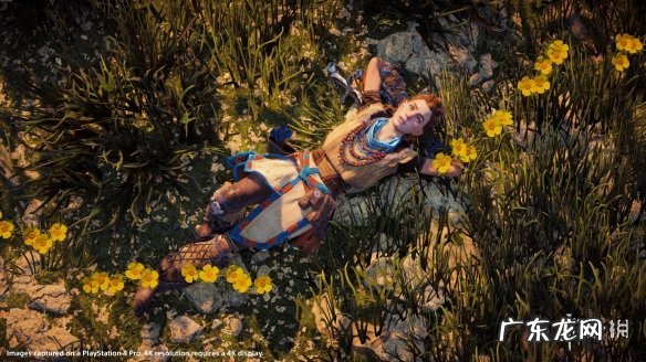 和巨星成长计划相似 巨星成长计划24攻略