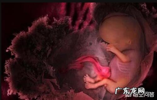 胎儿长得最快是什么月份呢?