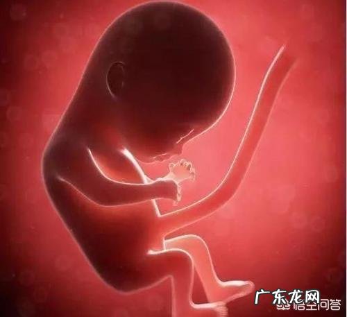 胎儿长得最快是什么月份呢？