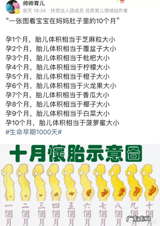 胎儿长得最快是什么月份呢?